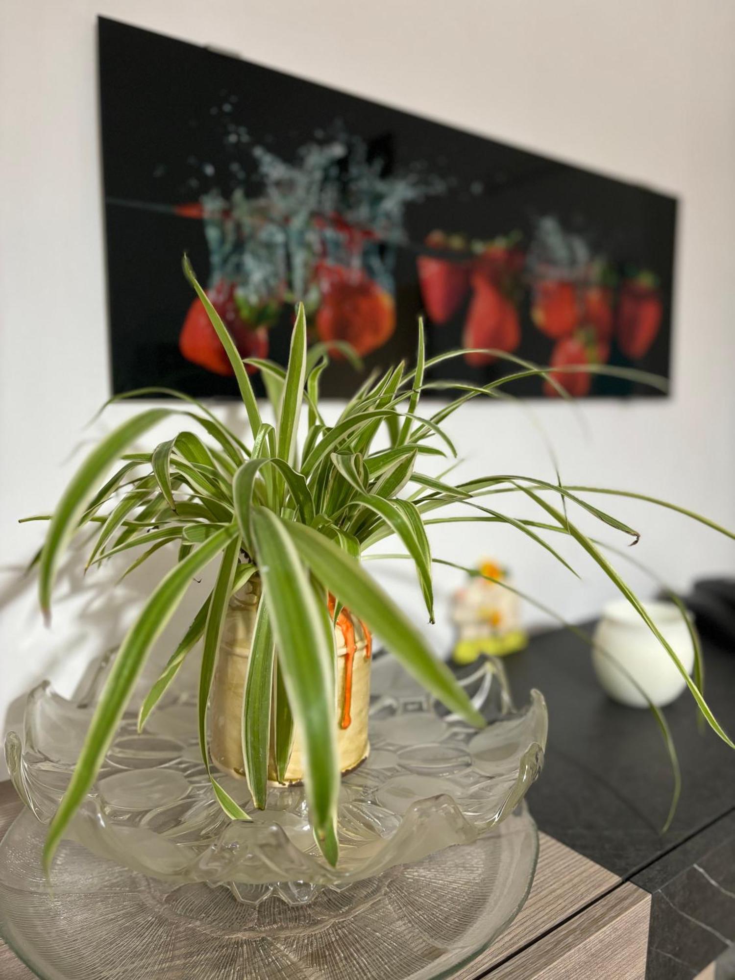 Vivi Aguilera Apartament Bologna Ngoại thất bức ảnh